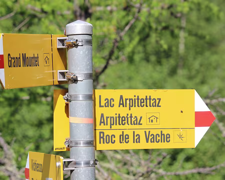 IMG_3372 Après la descente, on remonte au Roc de la Vache