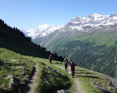 Picasa sous le soleil radieux