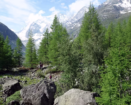 Picasa Pour remonter vers le roc de la vache