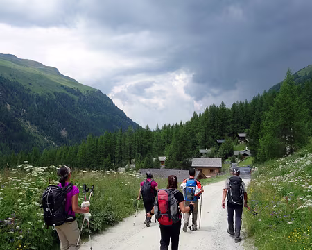 Picasa L'orage nous attire...