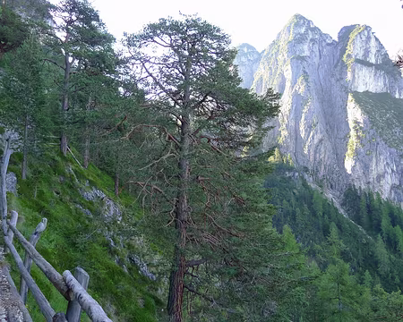 PXL006 J2 : Montée sur le plateau du Sciliar.