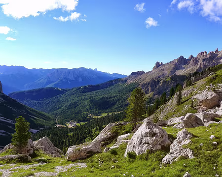 PXL021 Le Jardin des Roses (Rosengarten).