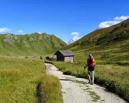 PXL040 Enfin de la verdure !