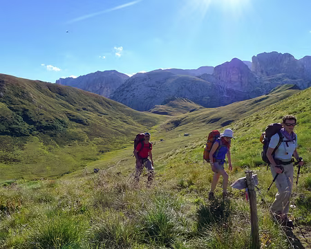 PXL041 Enfin de la verdure !