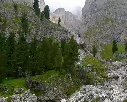 PXL061 Aujourdhui, nous entrons dans le Massif Sella. Comme d'habitude, ça commence dans la verdure.