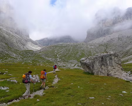 PXL063 Le Plan de Siela est encore relativement vert.