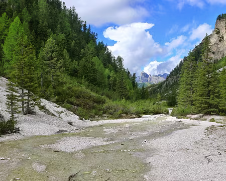 PXL112 ... deviendra grand.