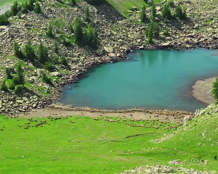 PXL032 Lac du Lausson