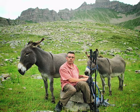 PXL052 Danse avec les ânes….