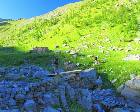 PXL070 Vallon de Sallevieille.