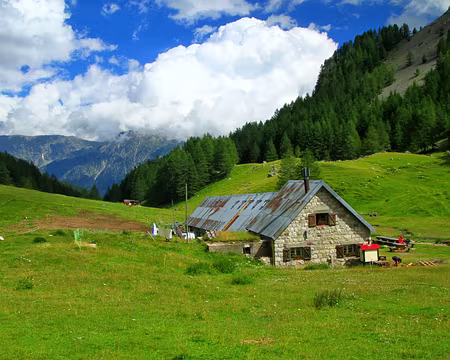 PXL086 Vacherie de Roubion.