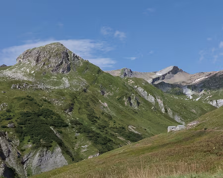 IMG_2960 Soleil et ciel bleu...