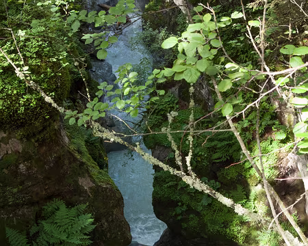 IMG_3142 Torrent de Tré-La-Tête