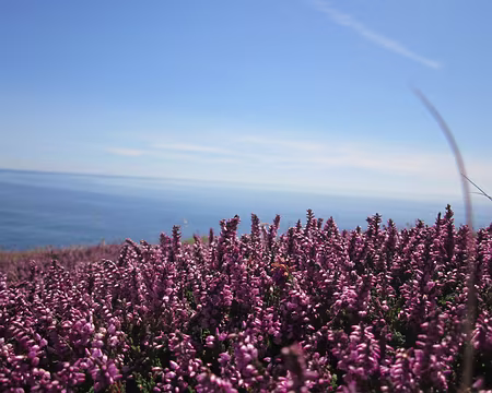 Bretagne Aout 2013 013