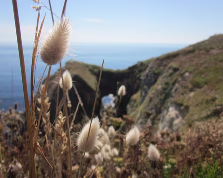 Bretagne Aout 2013 016z1421