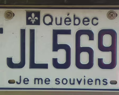 42 Plaque d'immatriculation