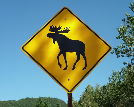 48z1423 Danger orignal