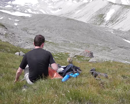 PXL009 Renard affamé