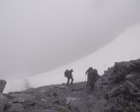 PXL020 nombreux névés persistants