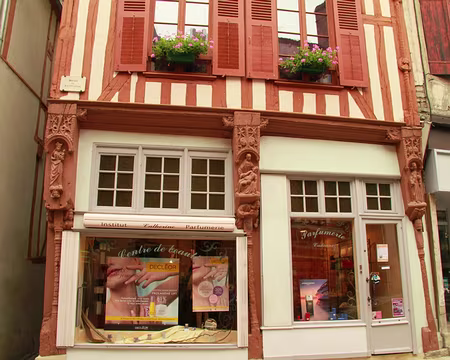 PXL009 Maison à pans de bois sculptés typique du XVIè s.