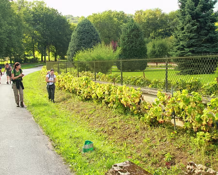 PXL070 Chemin de dégustation