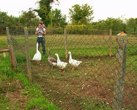 PXL073 Le bonheur est dans le pré.....presque !