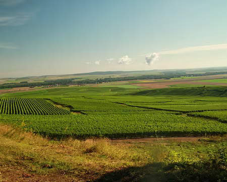 PXL026 Plaine de Champagne et au loin, les Ardennes