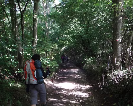 PXL054 Le parcours d'aujourd'hui suit principalement la vallée de l'Automne