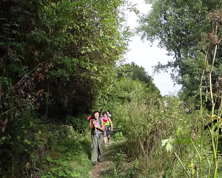PXL016 environs de Soignolles-en-Brie