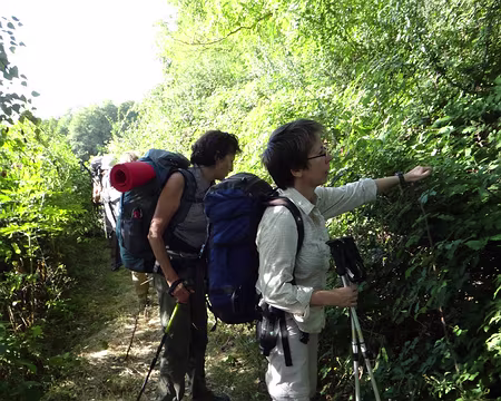 PXL032 En revanche, les mûres font l'unanimité...