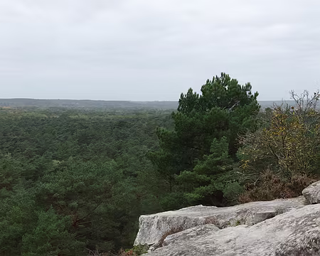 DSC01128 Pas la moindre pluie de la journée alors que la météo était très sombre !