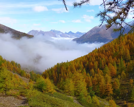 PXL007 Ah l'automne !