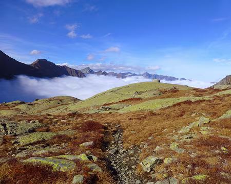 PXL095 Il va bien falloir retourner sous la couette !