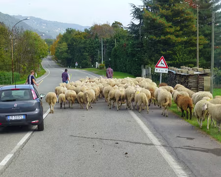 PXL104 Descente en bus sur Pinerolo et Turin.