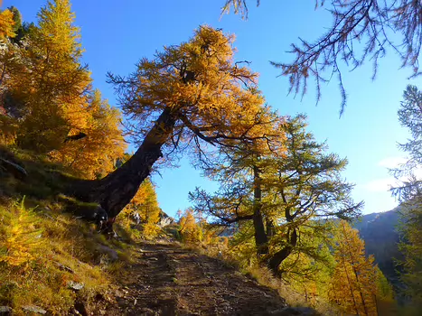 2013-10 Alpes Vaudoises