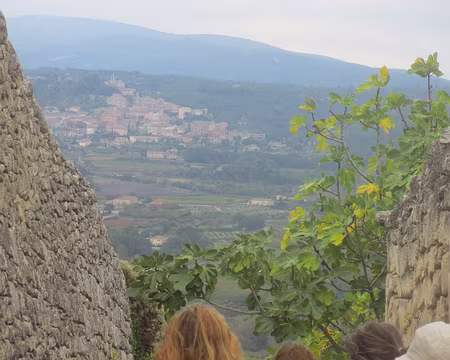 PXL007 en face : Bonnieux