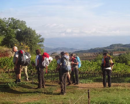 PXL018 les vignes du Luberon