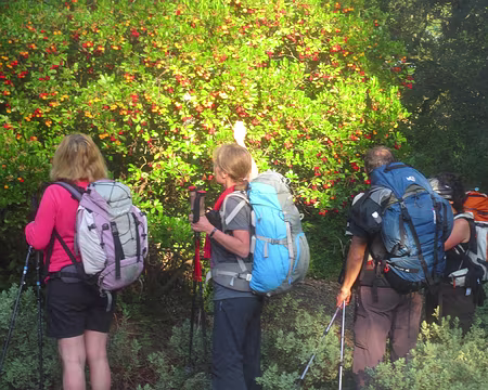 PXL045 mûres à point