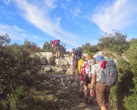 PXL052 dans les Alpilles