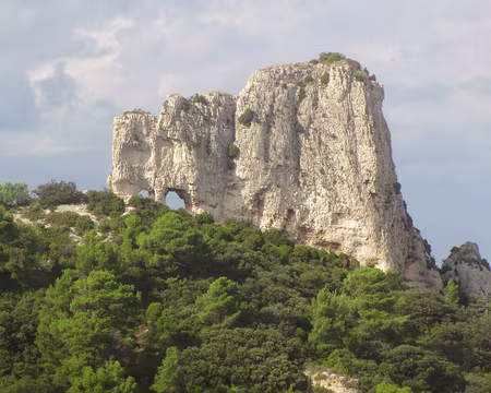 PXL084 Van Gogh l'a peint