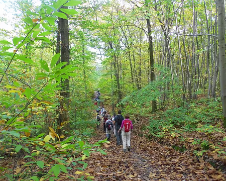 PXL013 Forêt domaniale de Bois d'Arcy