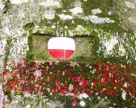 PXL003 L'arbre a avalé la balise métallique.