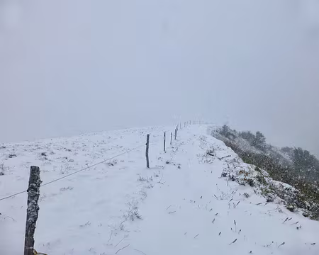 PXL011 Sur la crête du Grand Colombier. Pratique le barbelé finalement !