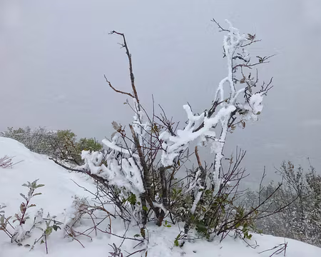 PXL012 Vue côté Mont Blanc