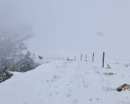 PXL013 Là bas, un groupe !