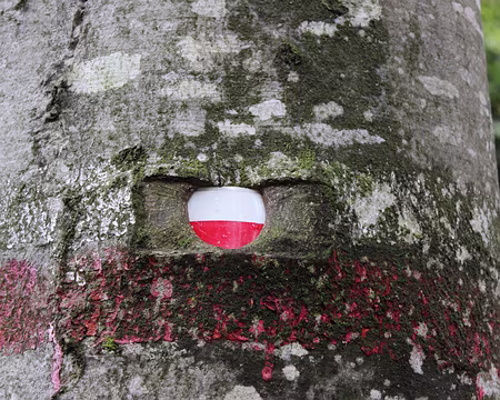 IMG_5522 L'arbre a mangé la marque de GR