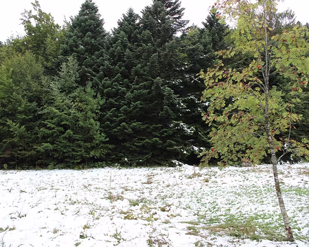 IMG_5524 Il a neigé dans la semaine