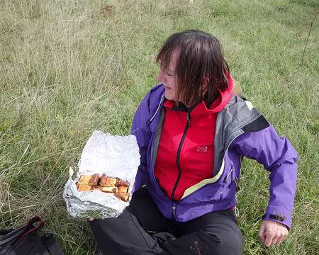 DSC00934 un délicieux far pour régaler