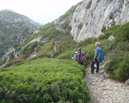 PXL003 sous le baou rond