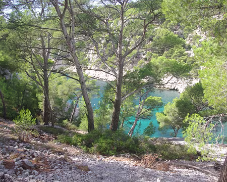 Calanque de Port-Pin Calanque de Port-Pin